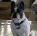 Sean Adderley - Facebook