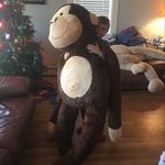 Sean Addison Bornstein - @magic_unicorn_sparkels - Instagram