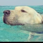 Sean Affleck - @seanaffleck - Instagram