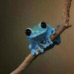sean aitken - @sean_43_ - Instagram