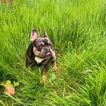 Sean Aitken - @seanaitken81 - Instagram