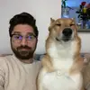 Sean Arena468 - @seanthearena - TikTok