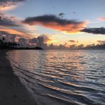 Sean Ashford - @sashford8 - Instagram