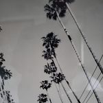 Sean Ashford - @sean.ashford.900 - Instagram