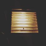 Sean Bach - @sean_bach11 - Instagram