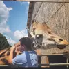 Sean Bachman - @seanbachman0 - TikTok