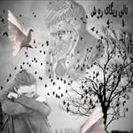Baran Sean - @baran.sean - Instagram