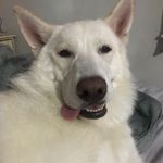 Sean bard - @bard.sean - Instagram