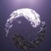 Sean Barnhill - Facebook