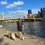 Sean Baron - @seanjbaron - Instagram