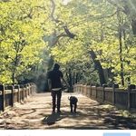 Sean Baron - @baronsean - Instagram