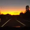 Husky - @seanbaronet - TikTok