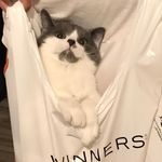 Sean Jadiel Barrera Camarillo - @sean.barrecam - Instagram