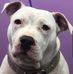 Shaun Bastarache - Facebook