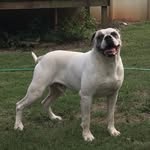 Sean Baughman - @baughman.sean - Instagram