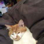 Sean Beall - @sean.beall.184 - Instagram