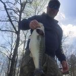Sean Beard - @seanbeard36 - Instagram