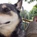 Sean Beaver - Facebook