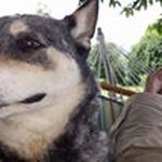 Sean Beaver - @beaver6094 - Instagram