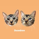 Sean bee - @sean.beee - Instagram