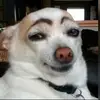 Sean Bee - @seanbee3 - TikTok