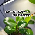 王治雄 - @seanbeerboy - Instagram