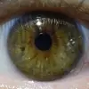 Sean Beeson - @sean.beeson1 - TikTok