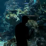 Sean Benedict - @sean__benedict - Instagram