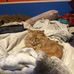Sean Bernhardt - Facebook