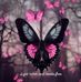 Shawn Bernstein - Facebook