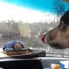 seanbertram84 - @seanbertram84 - TikTok