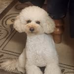 Sean Beveridge - @bevolution99 - Instagram