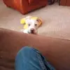 sean.beverly - @sean.beverly - TikTok