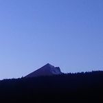 Sean Bird - @sean.bird.12382 - Instagram
