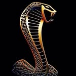 Sean Blackson - @seanbtrucking - Instagram