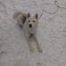 Shawn Bleyle - Facebook