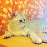 Sean Bloomer - @celletl - Instagram