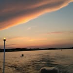 Sean Bloomer - @sean.bloomer.3 - Instagram
