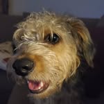 Sean Blythe - @gbfuncast - Instagram