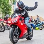 Sean Board - @sean.board - Instagram