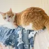 seanbobo - @seanbosa8my - TikTok