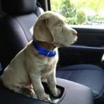 Sean Bode - @loneranger63 - Instagram