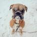 Sean Bogan - Facebook