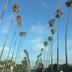 sean bohan - @scbohan - Instagram