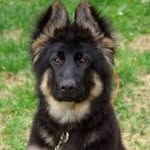bolt_sean_ - @bolt_sean_ - Instagram