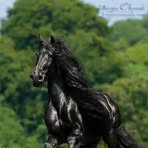 Sain Bolt - Facebook