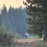 Sean Bonesteel - @seanbonesteel - Instagram