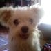 Shawn Bostic - Facebook