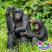 Sean Boswell - Facebook