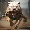 SeanBoswelll - @seanboswelll - TikTok